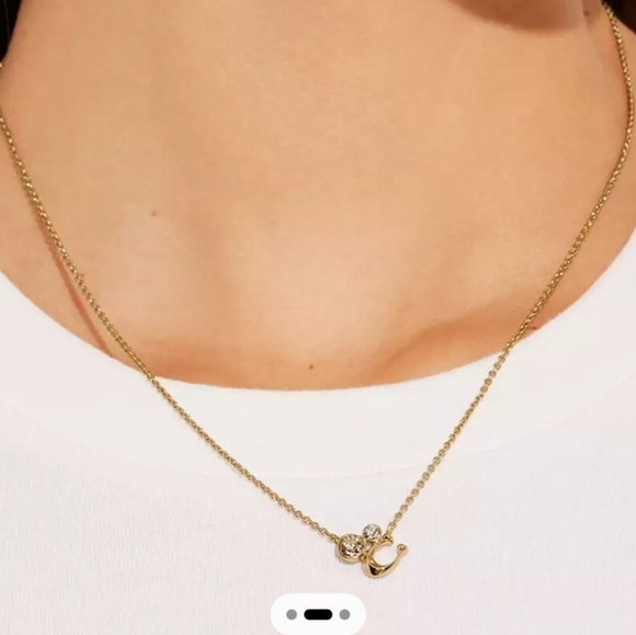 COACH Crystal Cluster Neackles - Picture 3 of 5